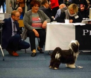 Ausstellungen 2016