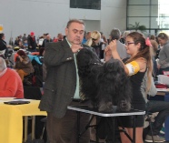 Ausstellungen 2014