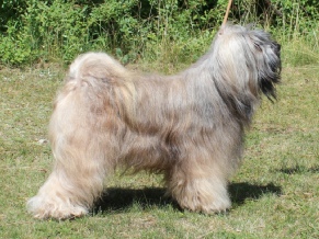 Sam